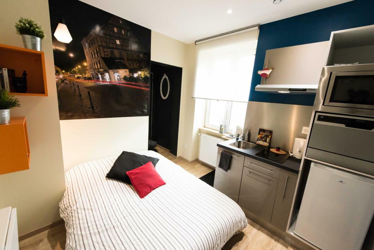 Splendide Studio Centre Colmar Extérieur photo